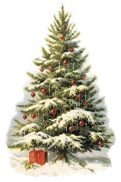 Order deadlines for Christmas 2025 delivery