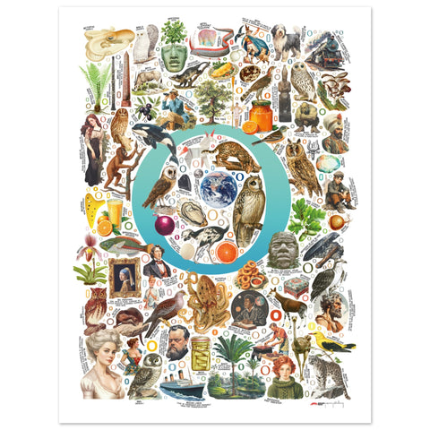 "O is for Original" — a Renard Roux alphabet poster with English O words (turquoise version)
