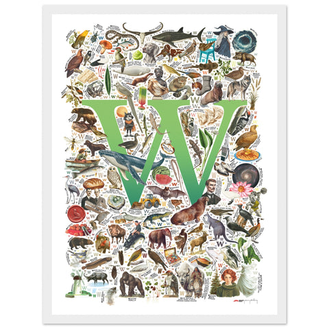 "W is for Wonder" — a Renard Roux alphabet poster with English W words (green version)