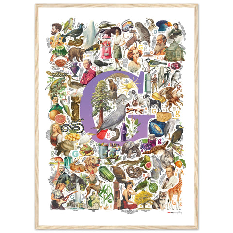 "G is for Great" — a Renard Roux alphabet poster with English G words (purple version)