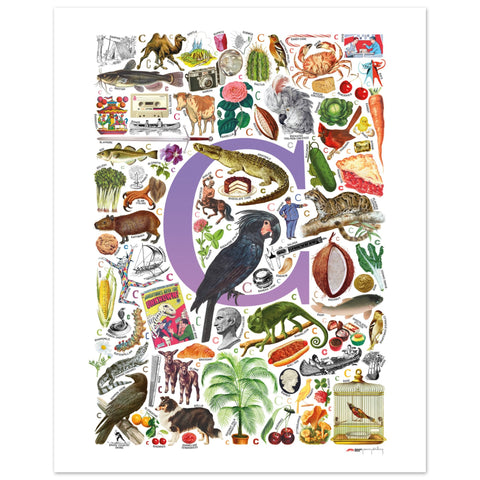 "C is for Curious" — a Renard Roux alphabet poster with English C words (purple version)