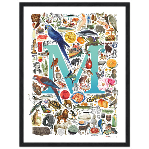 "M is for Magical" — a Renard Roux alphabet poster with English M words (turquoise version)