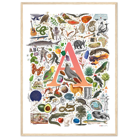 "A is for Adventure" — a Renard Roux alphabet poster with English A words (red version)