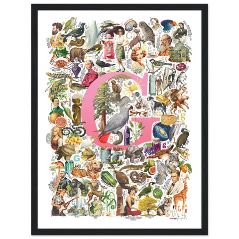 "G is for Great" — a Renard Roux alphabet poster with English G words (pink version)