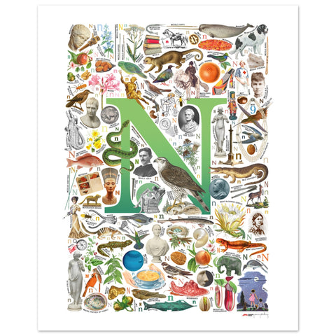 "N is for Nature" — a Renard Roux alphabet poster with English N words (green version)