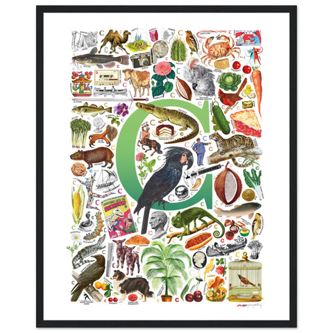"C is for Curious" — a Renard Roux alphabet poster with English C words (green version)
