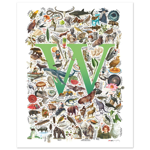 "W is for Wonder" — a Renard Roux alphabet poster with English W words (green version)
