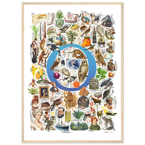 "O is for Original" — a Renard Roux alphabet poster with English O words (blue version)
