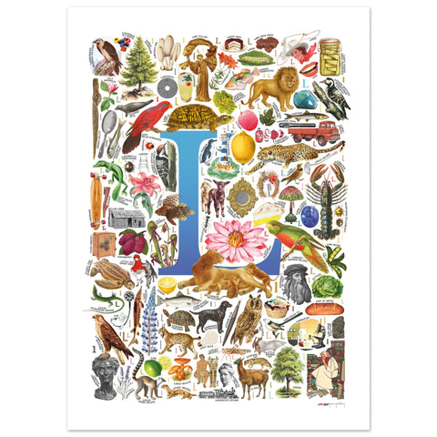 "L is for Learning" — a Renard Roux alphabet poster with English L words (blue version)