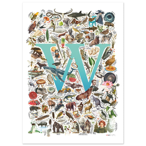 "W is for Wonder" — a Renard Roux alphabet poster with English W words (turquoise version)