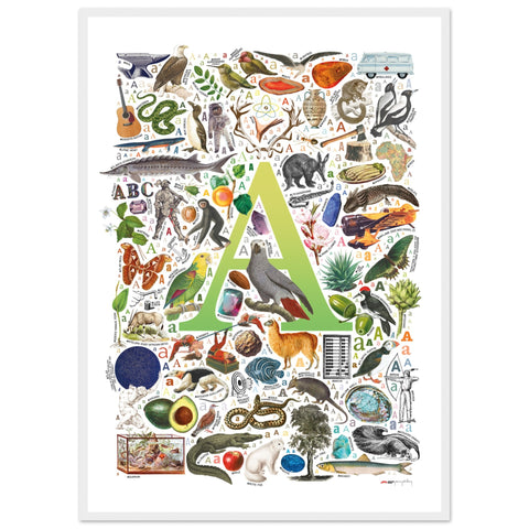 "A is for Adventure" — a Renard Roux alphabet poster with English A words (chartreuse version)