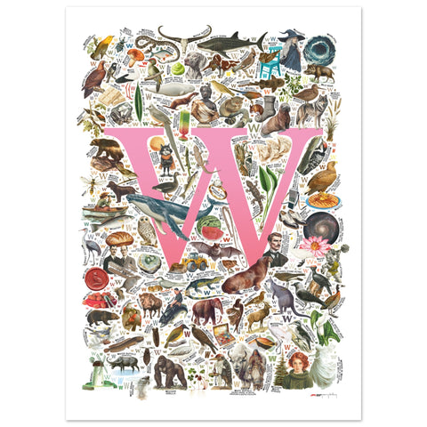 "W is for Wonder" — a Renard Roux alphabet poster with English W words (pink version)