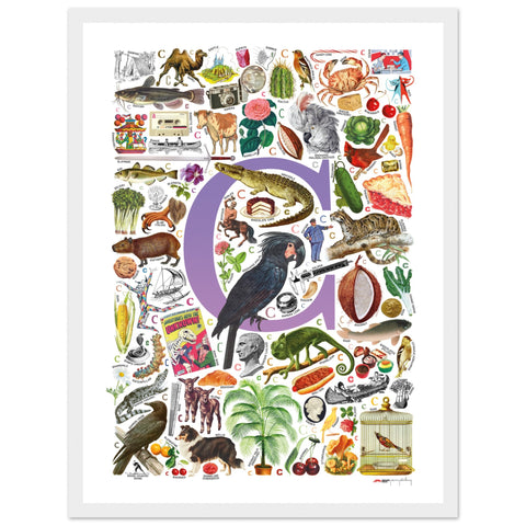 "C is for Curious" — a Renard Roux alphabet poster with English C words (purple version)