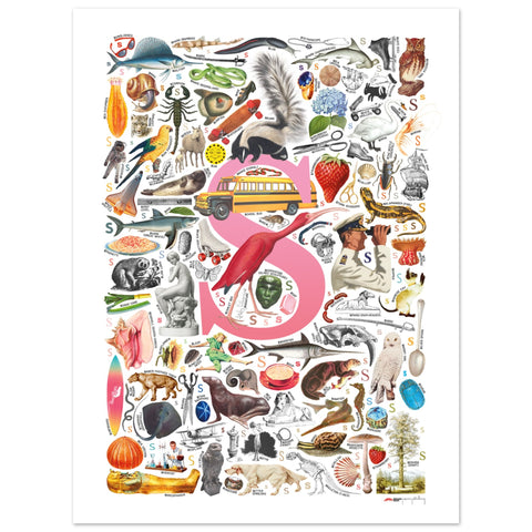 "S is for Surprise" — a Renard Roux alphabet poster with English S words (pink version)