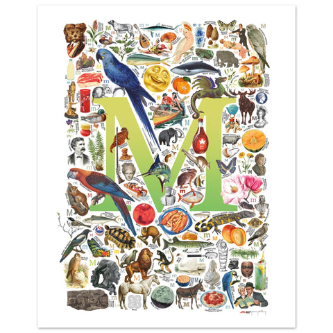 "M is for Magical" — a Renard Roux alphabet poster with English M words (chartreuse version)