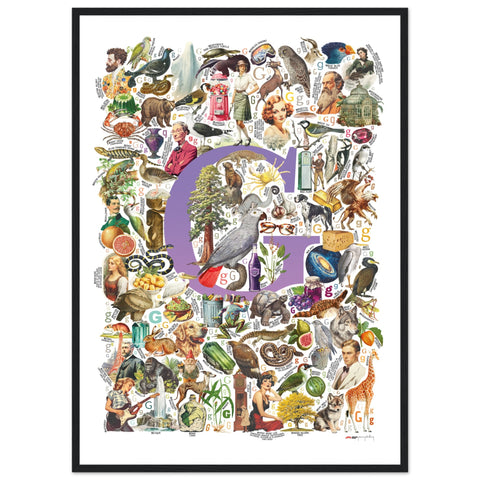 "G is for Great" — a Renard Roux alphabet poster with English G words (purple version)