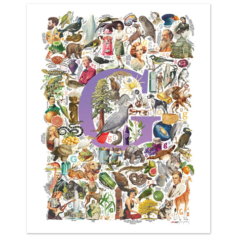 "G is for Great" — a Renard Roux alphabet poster with English G words (purple version)