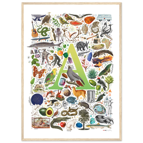 "A is for Adventure" — a Renard Roux alphabet poster with English A words (chartreuse version)