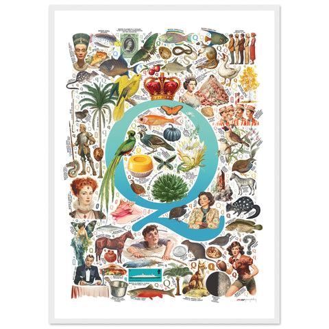 "Q is for Quest" — a Renard Roux alphabet poster with English Q words (turquoise version)