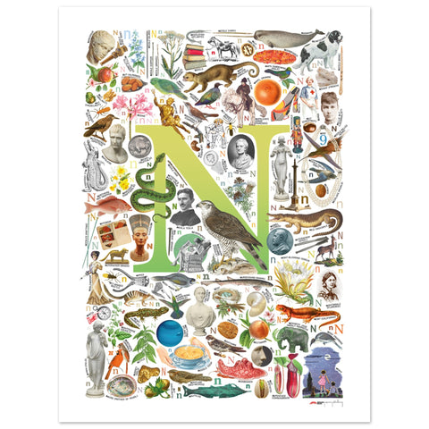"N is for Nature" — a Renard Roux alphabet poster with English N words (chartreuse version)