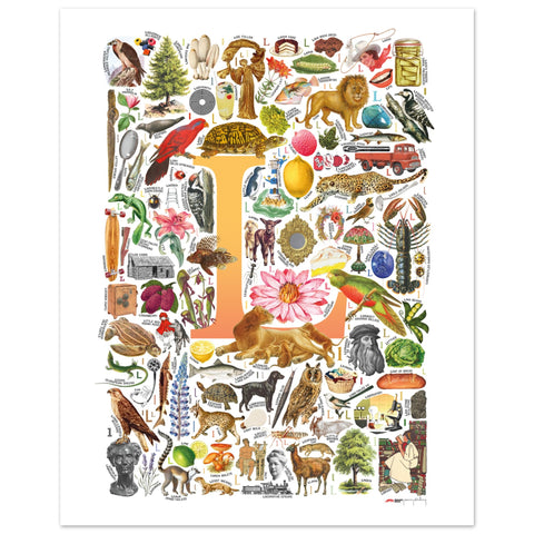 "L is for Learning" — a Renard Roux alphabet poster with English L words (yellow version)