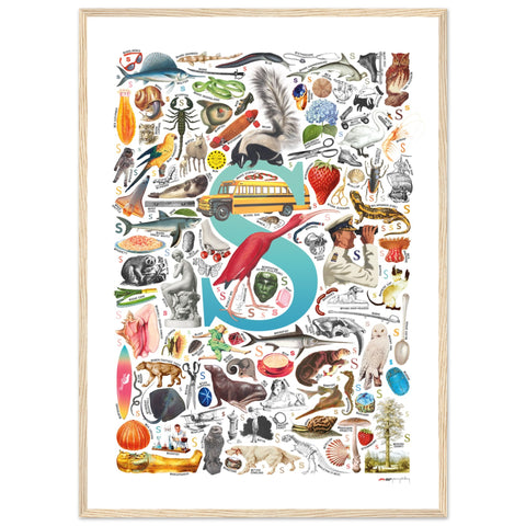 "S is for Surprise" — a Renard Roux alphabet poster with English S words (turquoise version)