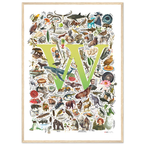 "W is for Wonder" — a Renard Roux alphabet poster with English W words (chartreuse version)