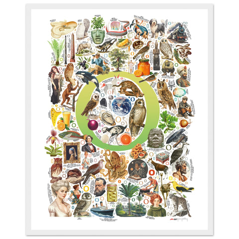 "O is for Original" — a Renard Roux alphabet poster with English O words (chartreuse version)