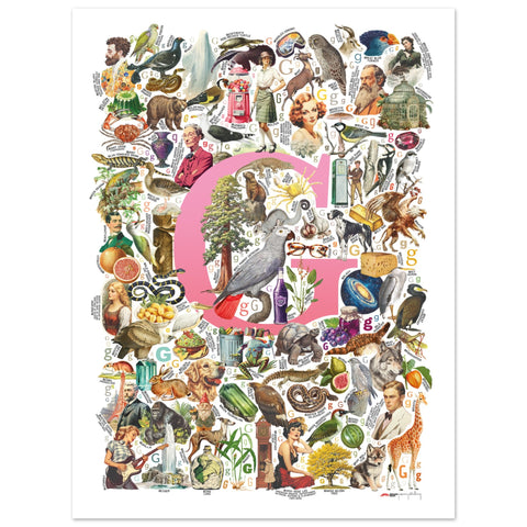 "G is for Great" — a Renard Roux alphabet poster with English G words (pink version)