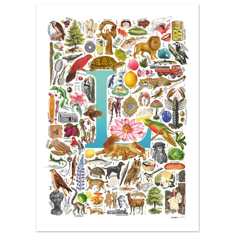 "L is for Learning" — a Renard Roux alphabet poster with English L words (turquoise version)