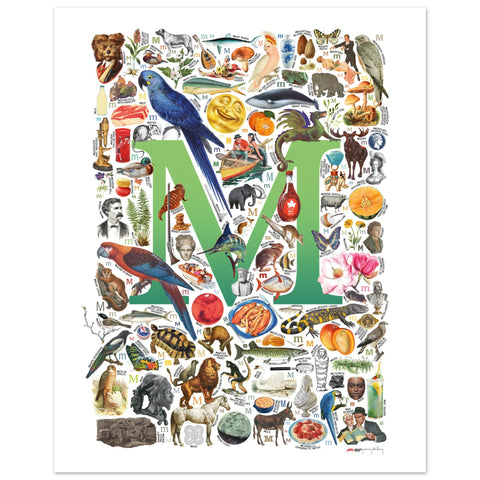"M is for Magical" — a Renard Roux alphabet poster with English M words (green version)