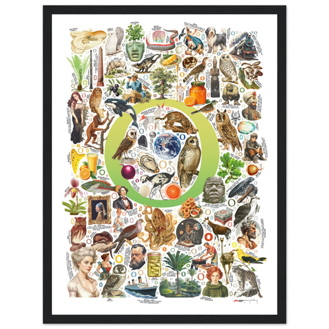 "O is for Original" — a Renard Roux alphabet poster with English O words (chartreuse version)