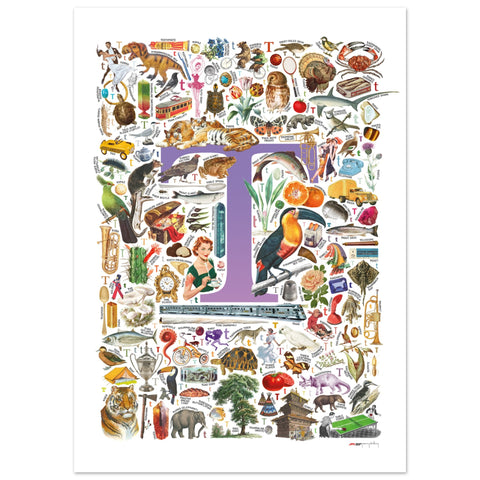 "T is for Treasure" — a Renard Roux alphabet poster with English T words (purple version)