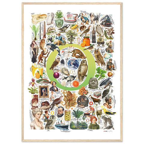 "O is for Original" — a Renard Roux alphabet poster with English O words (chartreuse version)