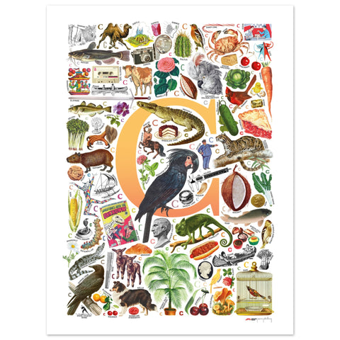"C is for Curious" — a Renard Roux alphabet poster with English C words (yellow version)