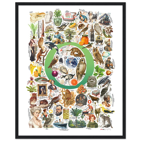 "O is for Original" — a Renard Roux alphabet poster with English O words (green version)
