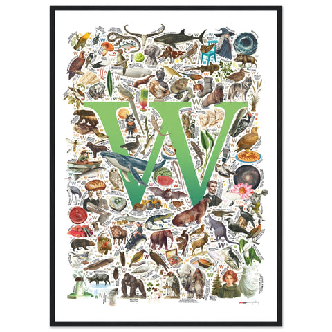"W is for Wonder" — a Renard Roux alphabet poster with English W words (green version)