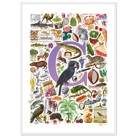 "C is for Curious" — a Renard Roux alphabet poster with English C words (purple version)