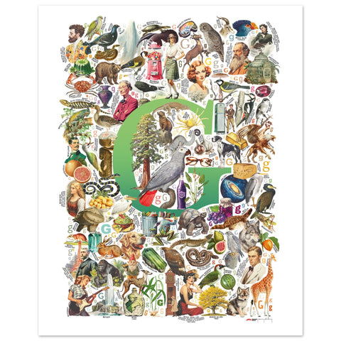 "G is for Great" — a Renard Roux alphabet poster with English G words (green version)