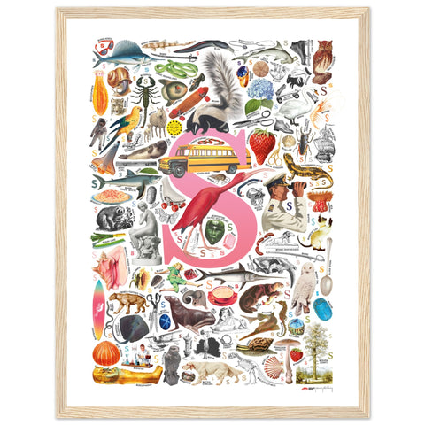 "S is for Surprise" — a Renard Roux alphabet poster with English S words (pink version)