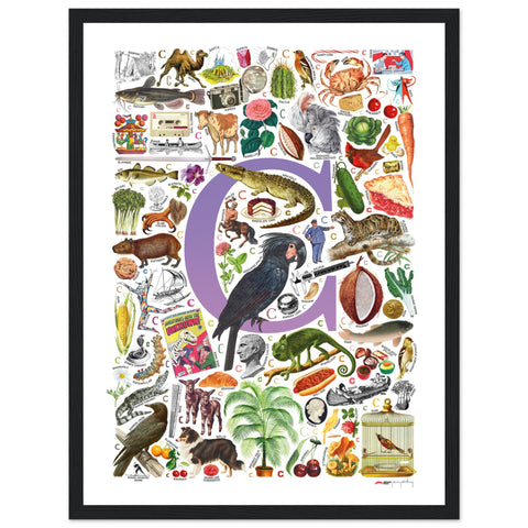 "C is for Curious" — a Renard Roux alphabet poster with English C words (purple version)