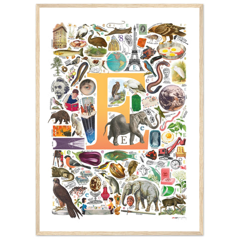 "E is for Explore" — a Renard Roux alphabet poster with English E words (yellow version)