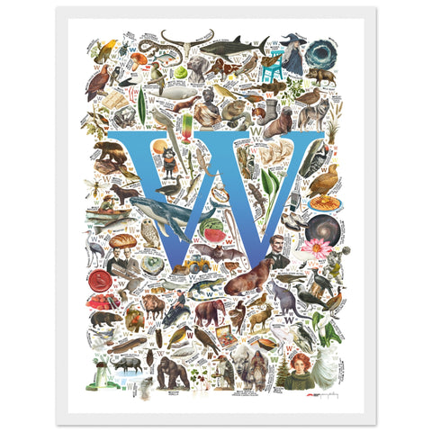 "W is for Wonder" — a Renard Roux alphabet poster with English W words (blue version)