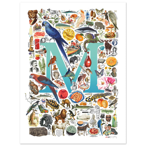 "M is for Magical" — a Renard Roux alphabet poster with English M words (turquoise version)