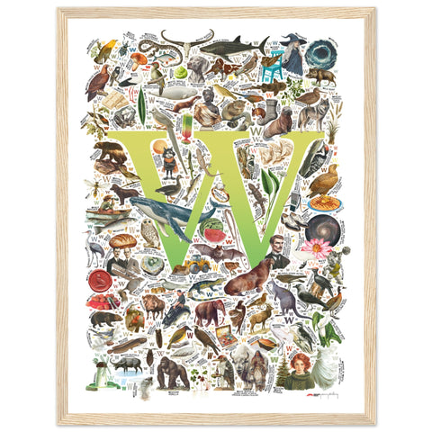 "W is for Wonder" — a Renard Roux alphabet poster with English W words (chartreuse version)