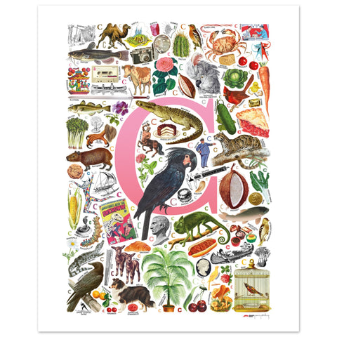 "C is for Curious" — a Renard Roux alphabet poster with English C words (pink version)