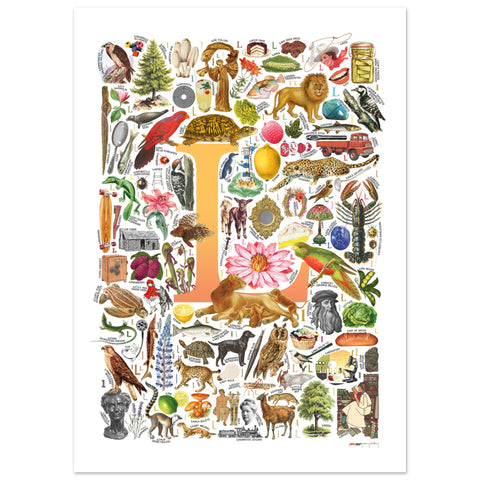 "L is for Learning" — a Renard Roux alphabet poster with English L words (yellow version)