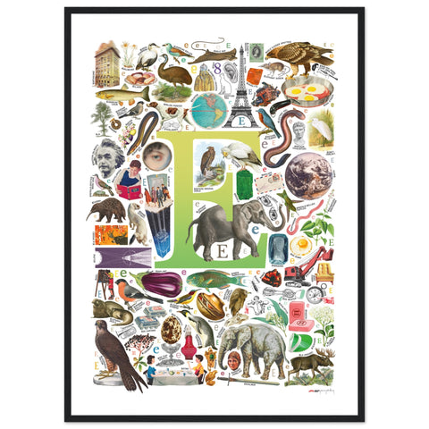 "E is for Explore" — a Renard Roux alphabet poster with English E words (chartreuse version)