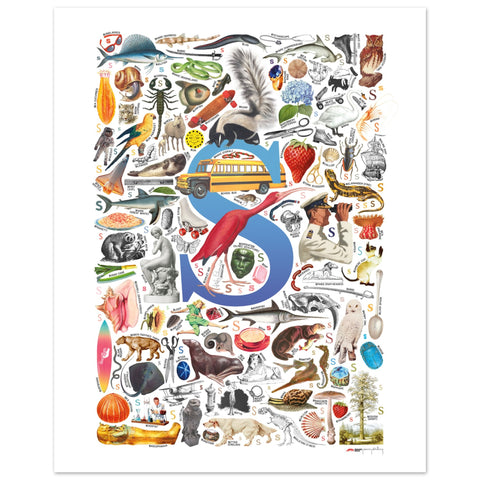 "S is for Surprise" — a Renard Roux alphabet poster with English S words (blue version)