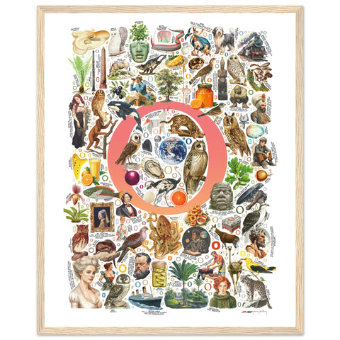 "O is for Original" — a Renard Roux alphabet poster with English O words (red version)